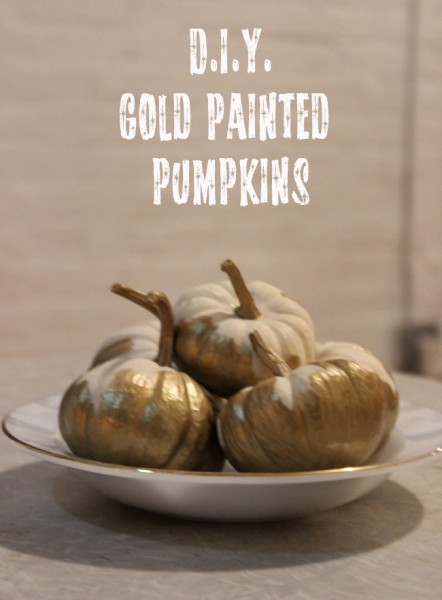 D.I.Y. Gold Painted Pumpkins - Lacee SwanLacee Swan